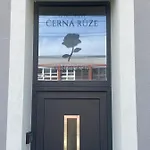 Daire Cerna Ruze - 4 *