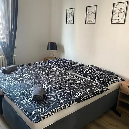 Apartment Cerna Ruze - 4