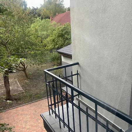 Cerna Ruze - 4 Plzen
