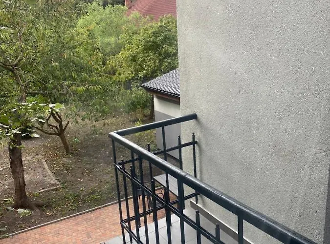 černá Růže - 4 Plzeň